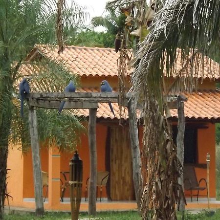 Pousada Reserva Ecologica Jaguar Poconé Eksteriør bilde